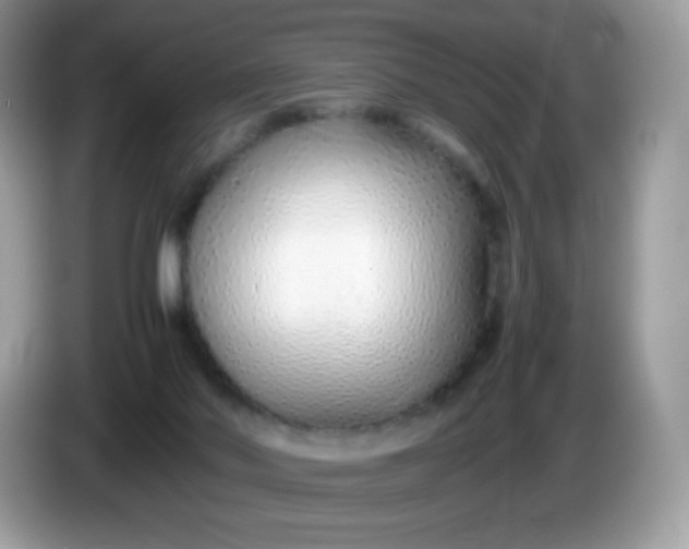 X0000086230022200704121924