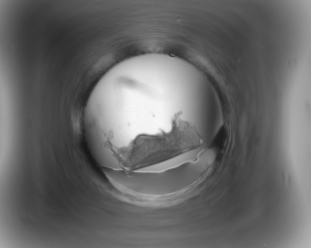 X0000086230023200704121924