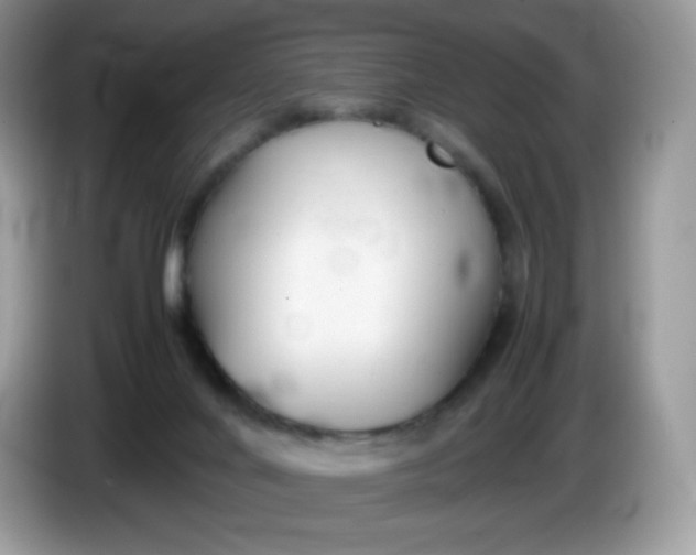 X0000086230024200704121924