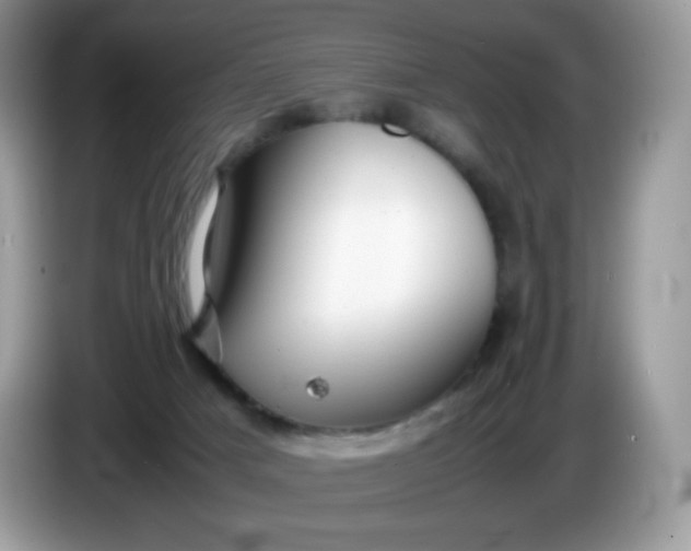 X0000086230025200704121924