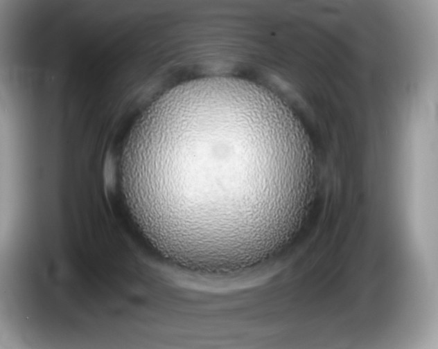 X0000086230026200704121924