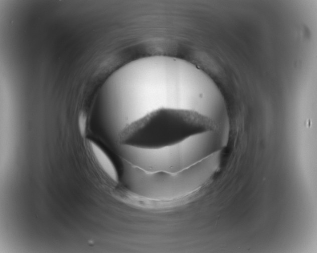 X0000086230027200704121924