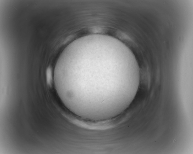 X0000086230028200704121924