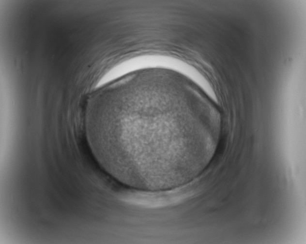 X0000086230029200704121924