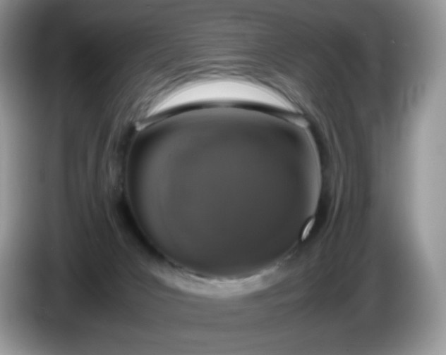 X0000086230031200704121924