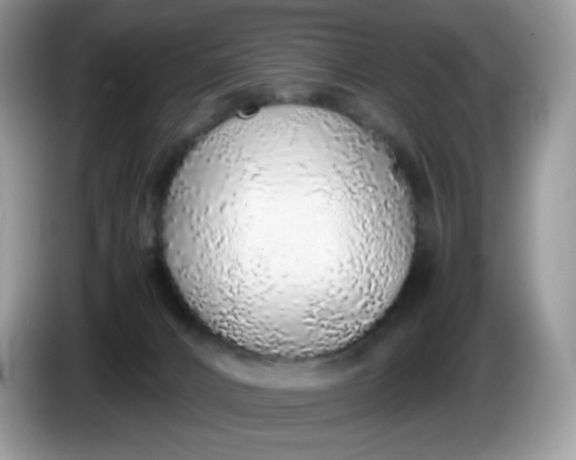 X0000086230032200704121923