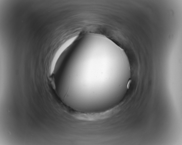 X0000086230033200704121923