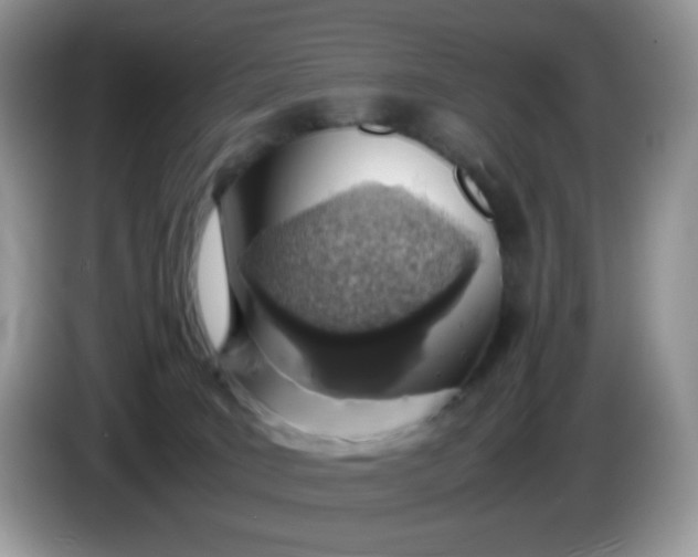 X0000086230035200704121923