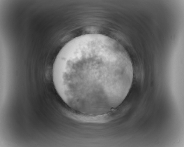 X0000086230036200704121923