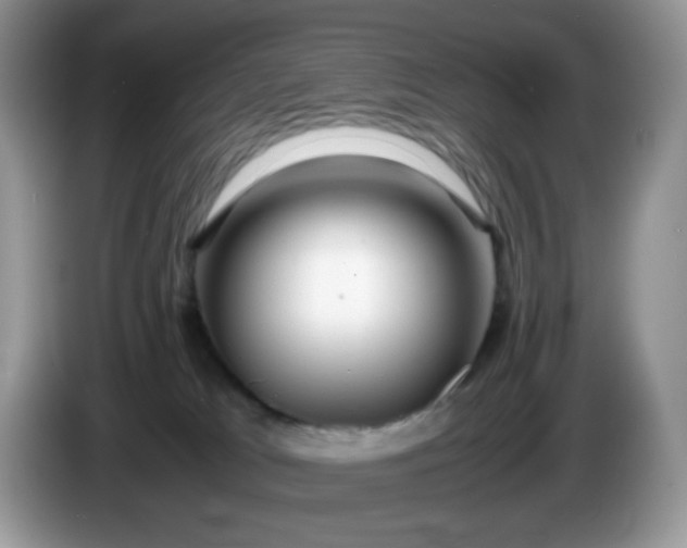 X0000086230037200704121923