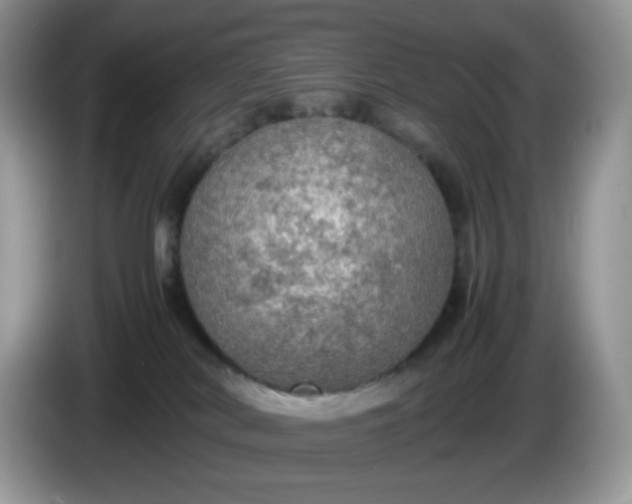 X0000086230038200704121923