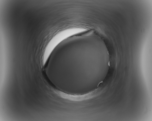 X0000086230039200704121923