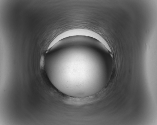 X0000086230041200704121923