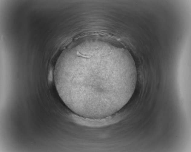 X0000086230042200704121923