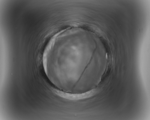 X0000086230043200704121923