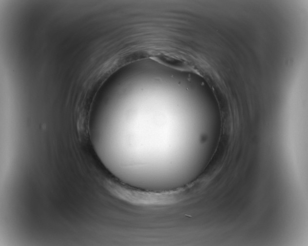 X0000086230044200704121923