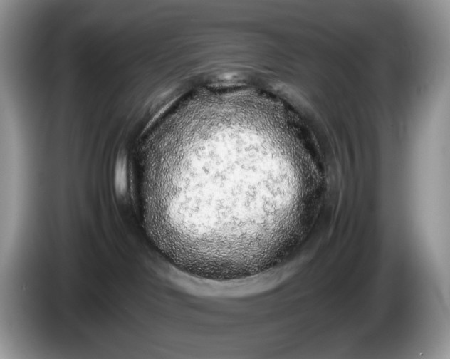 X0000086230046200704121923