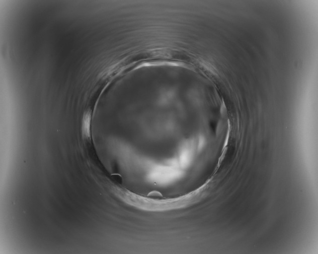 X0000086230047200704121923