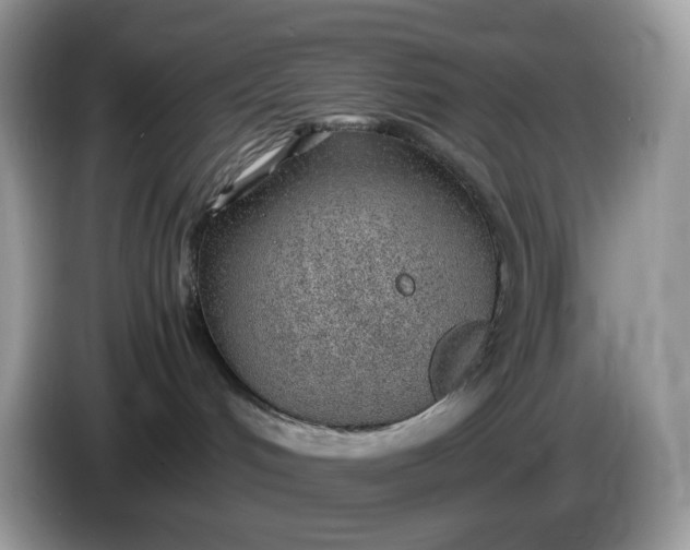 X0000086230048200704121923