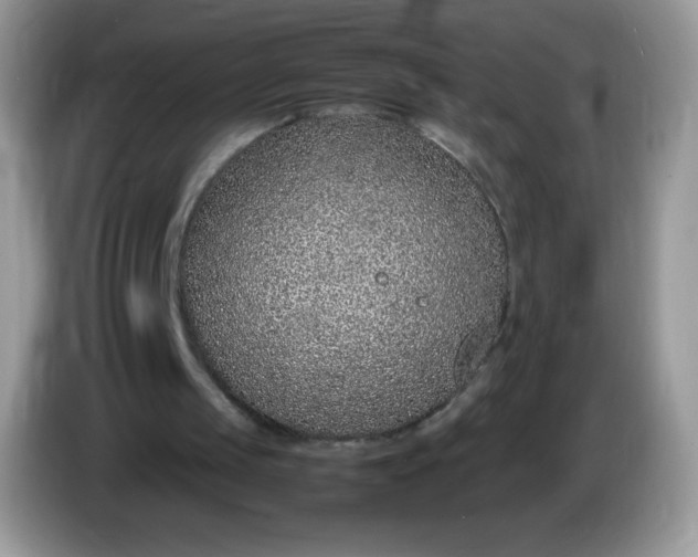 X0000086230049200704121923