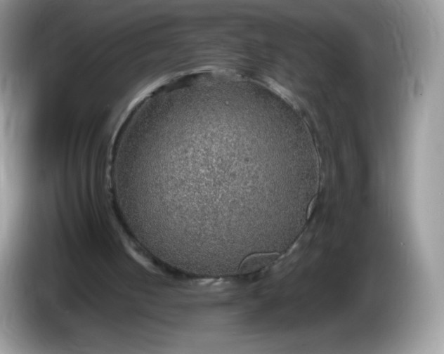 X0000086230050200704121923