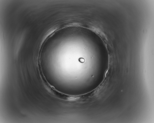 X0000086230051200704121923