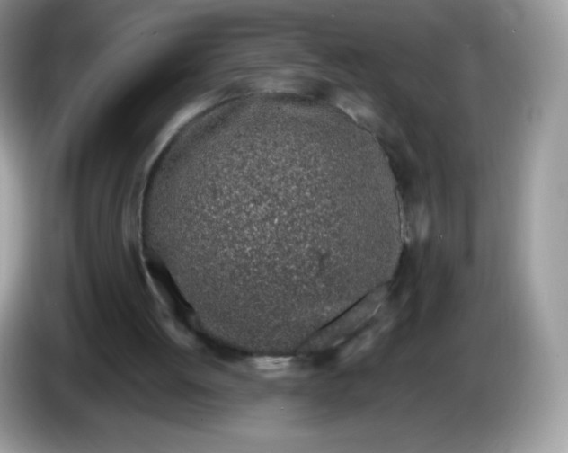 X0000086230052200704121923