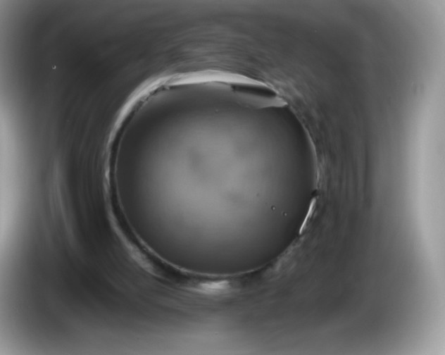 X0000086230054200704121923