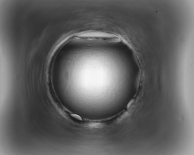 X0000086230055200704121923