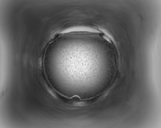 X0000086230057200704121923