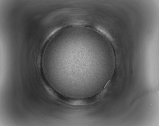 X0000086230058200704121923