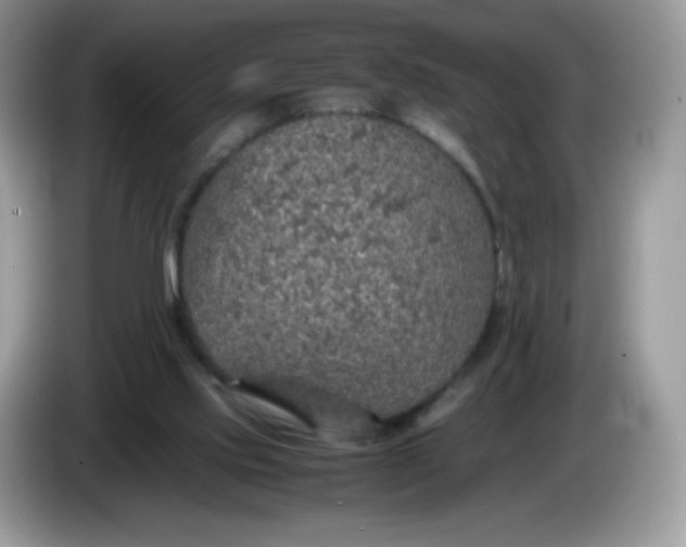 X0000086230061200704121923