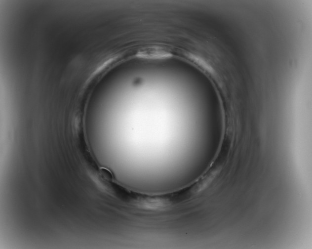 X0000086230063200704121923