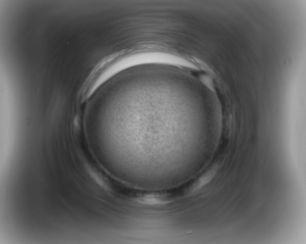 X0000086230064200704121923