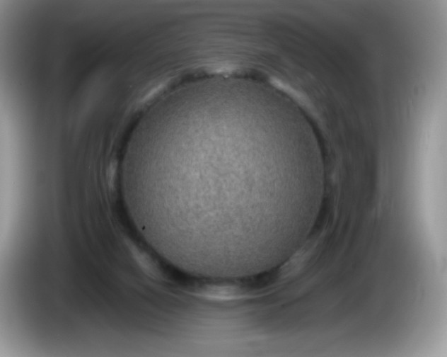 X0000086230066200704121923