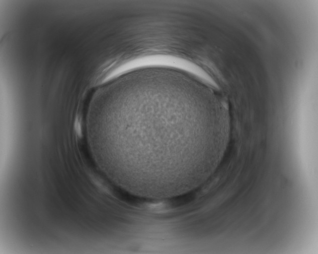 X0000086230068200704121923