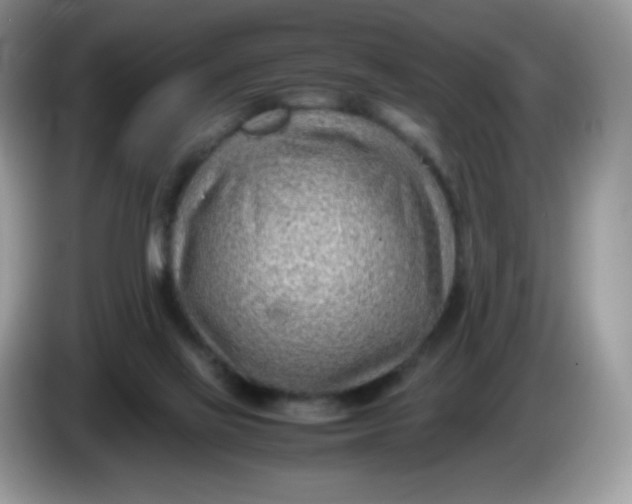 X0000086230069200704121923