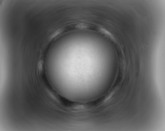 X0000086230071200704121923