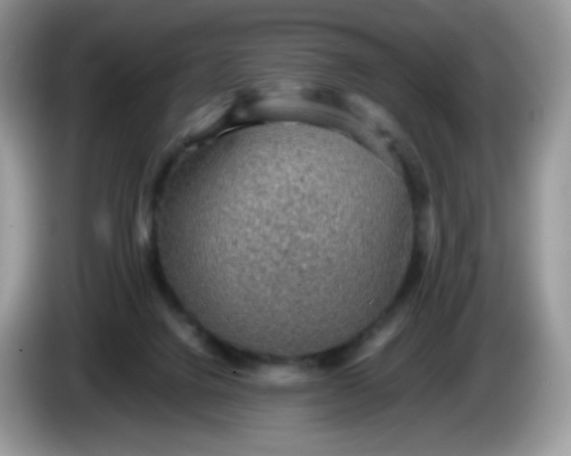 X0000086230072200704121923