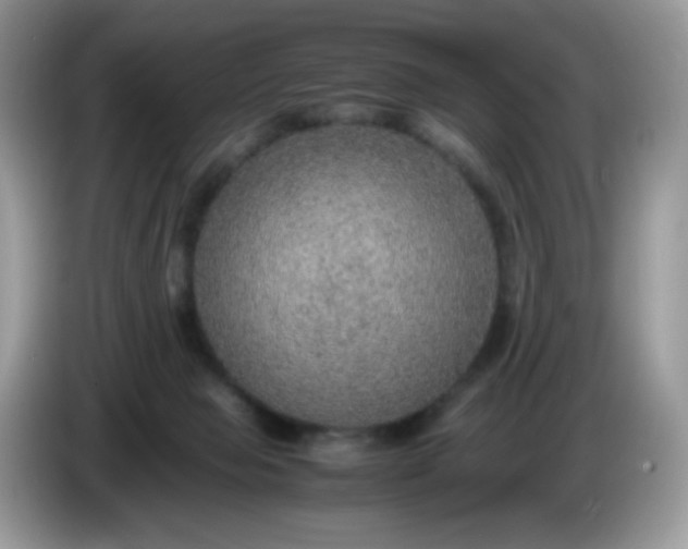 X0000086230077200704121923