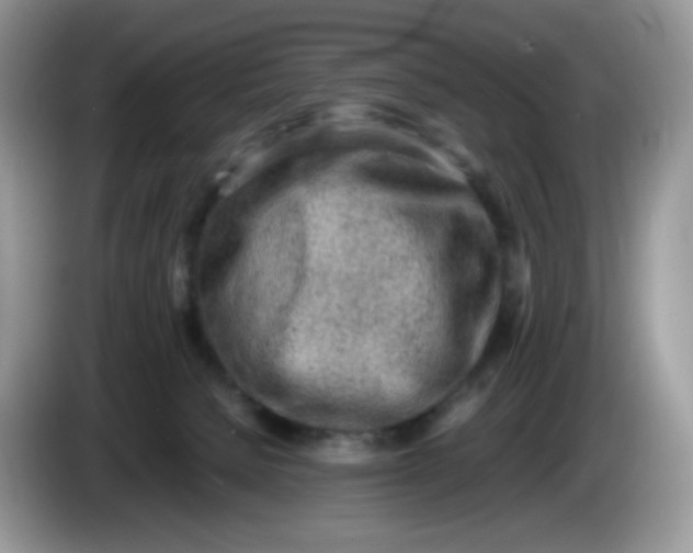 X0000086230080200704121923