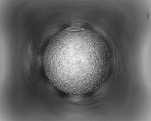 X0000086230081200704121923