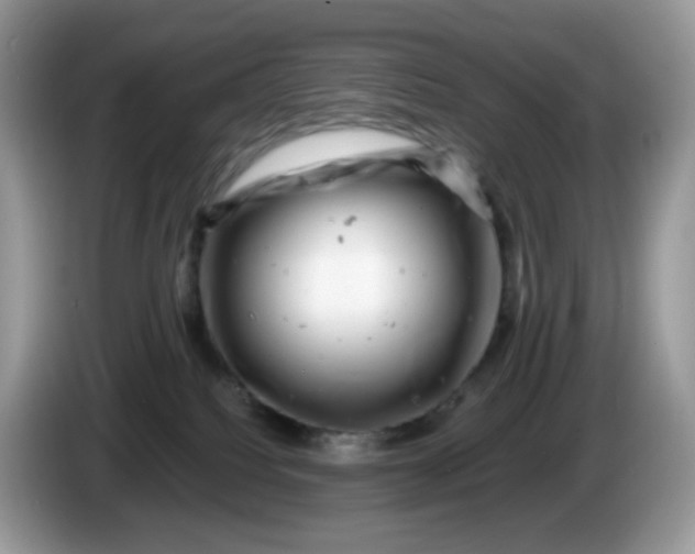 X0000086230088200704121923