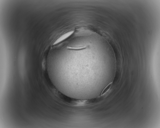 X0000086230090200704121923