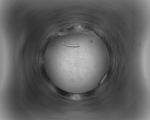 X0000086230091200704121923