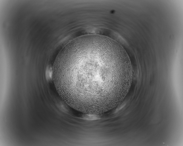 X0000086230095200704121923