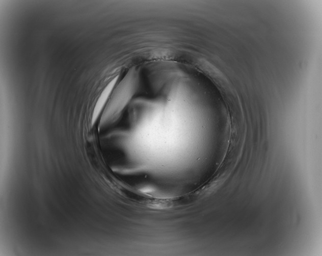 X0000086230096200704121923