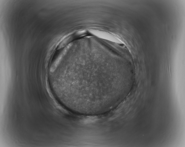 X0000086230097200704121923