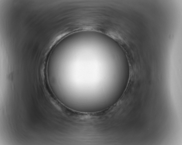 X0000086230098200704121923