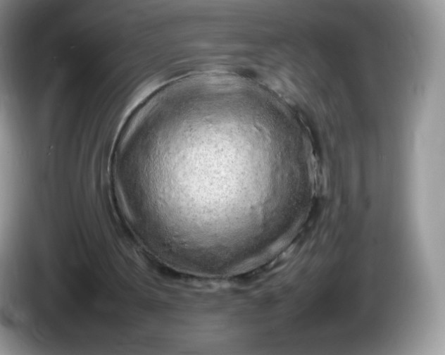 X0000086230099200704121923